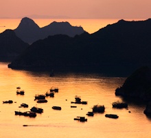 AS81-Cat Ba harbour at sunset, Vietnam