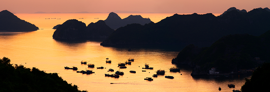 AS81-Cat Ba harbour at sunset, Vietnam